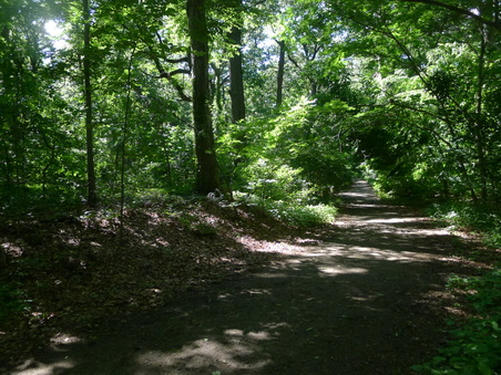 Enlarge photo 131