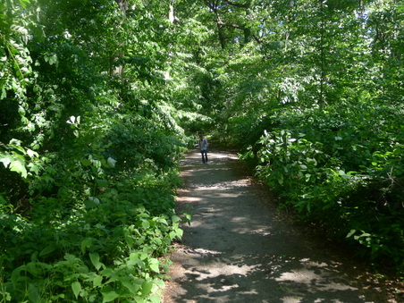 Enlarge photo 132