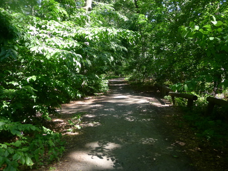 Enlarge photo 133