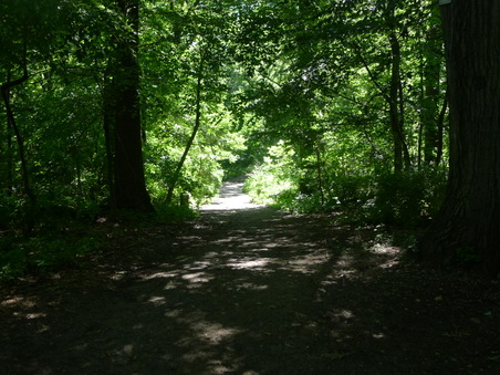 Enlarge photo 85