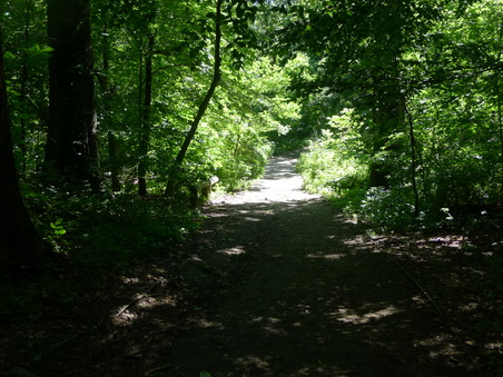 Enlarge photo 84