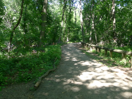 Enlarge photo 77