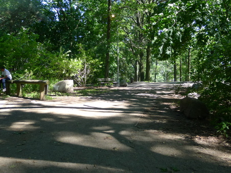 Enlarge photo 71