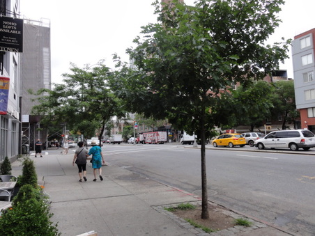Enlarge photo 23