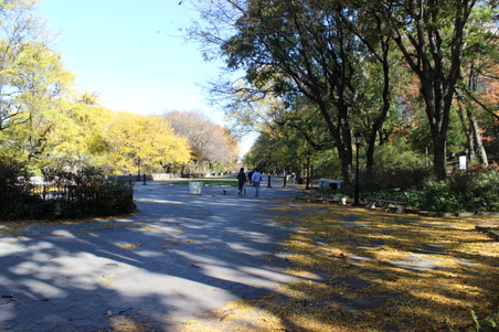 Enlarge photo 29
