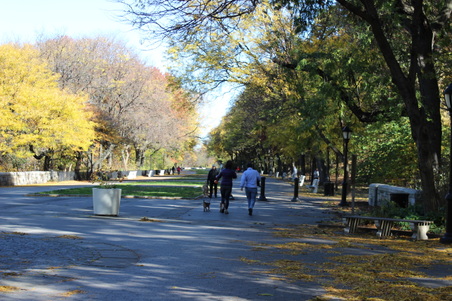 Enlarge photo 28