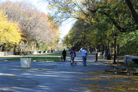 Enlarge photo 27