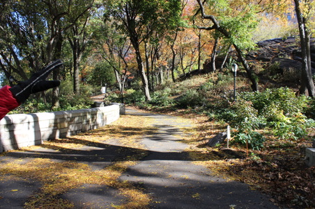 Enlarge photo 25