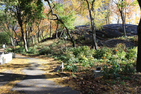 Enlarge photo 24