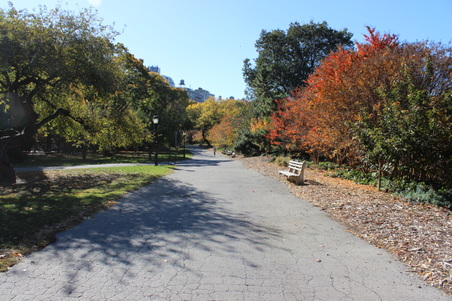 Enlarge photo 23