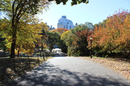 Enlarge photo 20