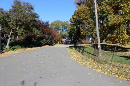 Enlarge photo 17