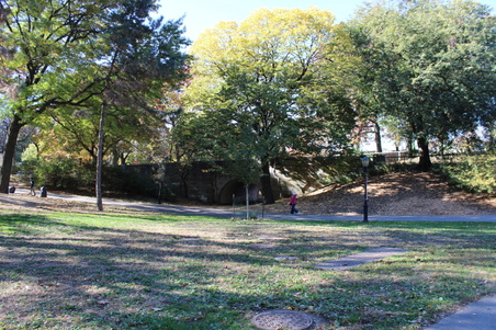 Enlarge photo 15