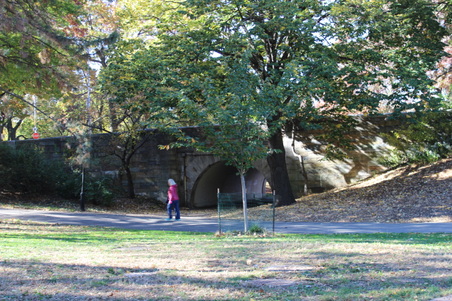 Enlarge photo 14