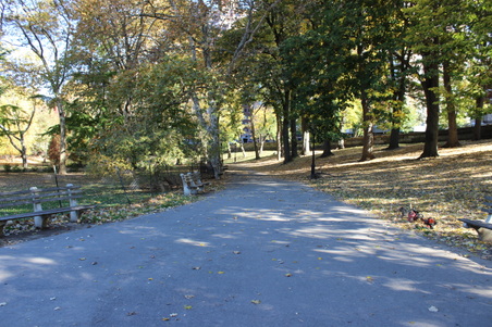 Enlarge photo 13