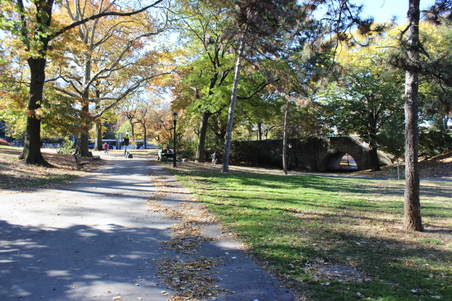 Enlarge photo 12