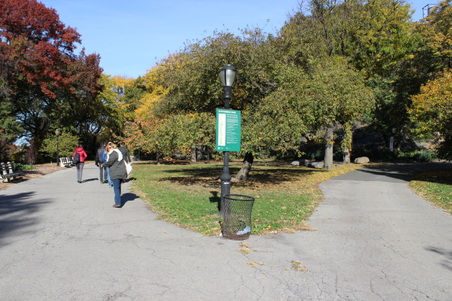 Enlarge photo 7