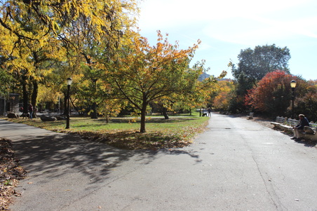 Enlarge photo 6