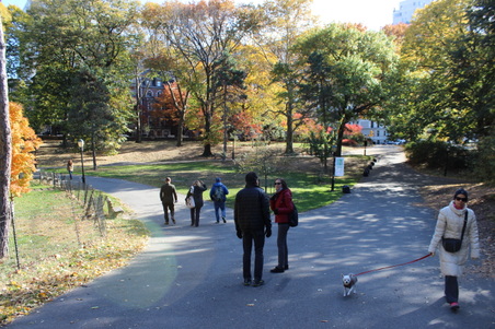 Enlarge photo 4
