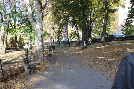 Enlarge photo 3