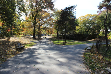 Enlarge photo 2