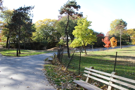 Riverside Park 11-4-13