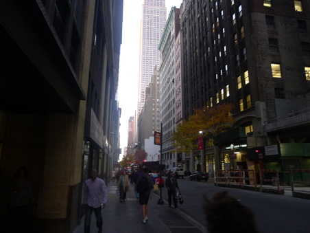 Enlarge photo 25