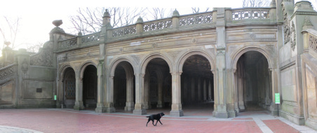 Central Park- Bethesda Fountain Area