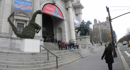 Natural History Museum