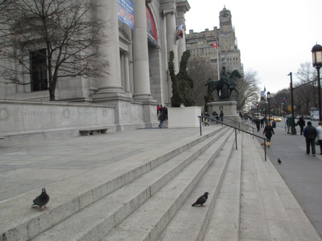 Enlarge photo 13
