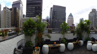 Enlarge photo 42