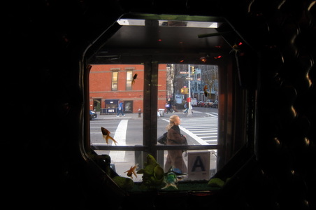 Enlarge photo 15