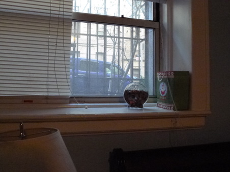 Enlarge photo 29