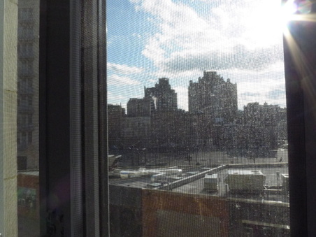 Enlarge photo 19