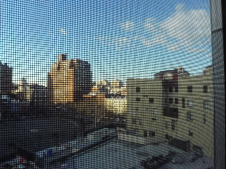 Enlarge photo 56