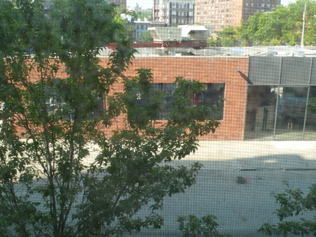 Enlarge photo 118