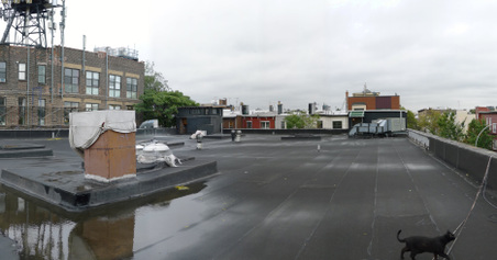 Enlarge photo 16