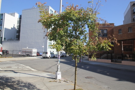 Enlarge photo 7