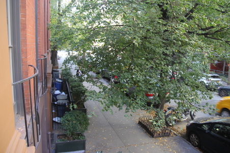 Enlarge photo 15