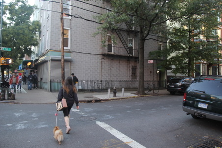 Enlarge photo 32
