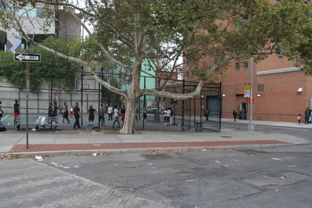 Enlarge photo 15