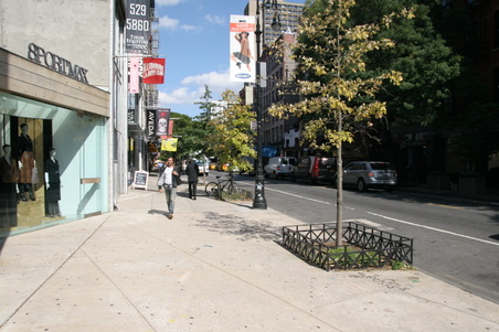 Enlarge photo 9