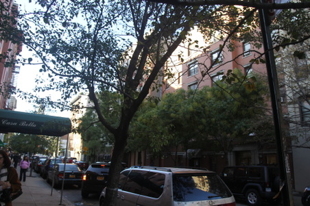 Enlarge photo 10