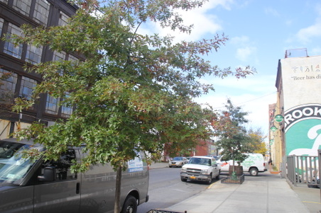 Enlarge photo 5