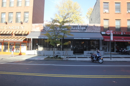 FORT GREENE