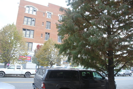 Enlarge photo 7