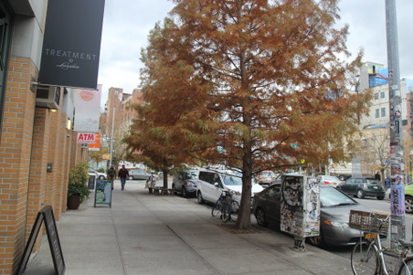 Enlarge photo 9