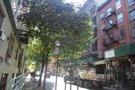 Enlarge photo 7