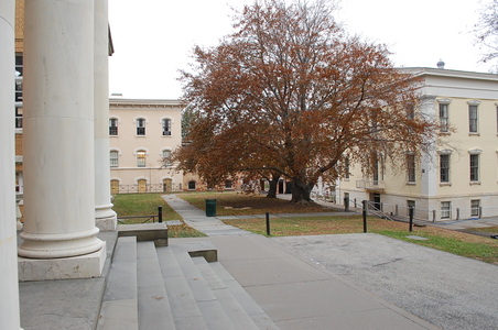 Enlarge photo 3