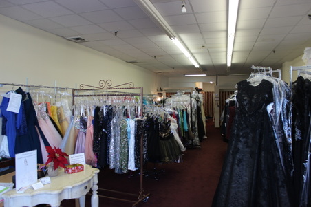 Nikki's Dress